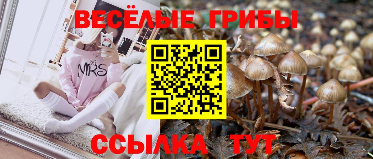 Бахчисарай  Галлюциногенные грибы Cubensis  Вход с VPN 