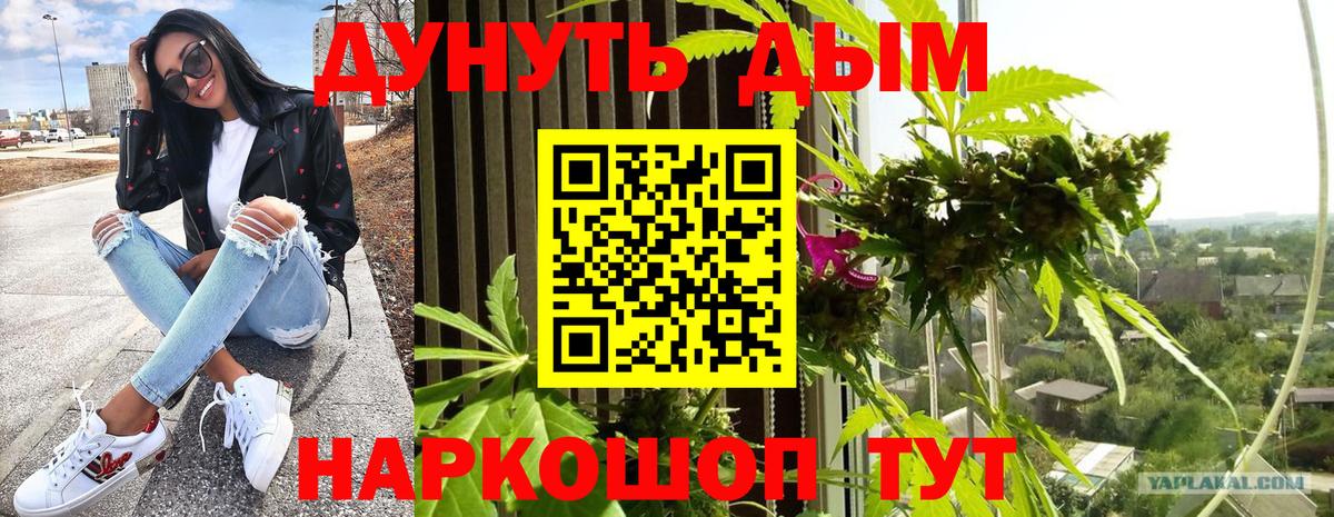 Марихуана AK-47  Марихуана планчик  МАРИХУАНА сатива  Бахчисарай 